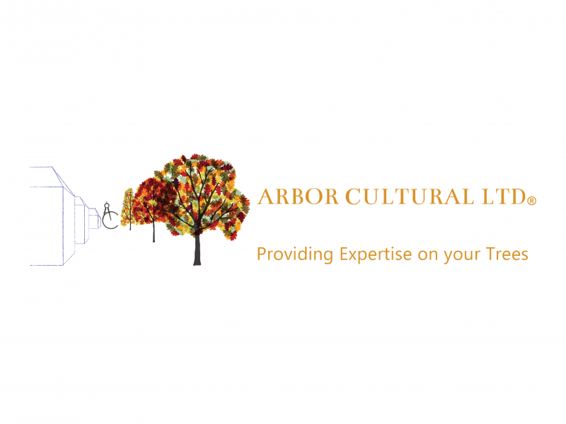 Arbor Cultural