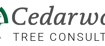 Cedarwood Tree Care
