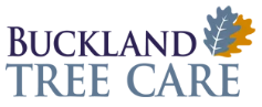 Buckland Tree Care Limited