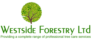Westside Ltd