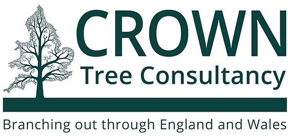 Crown Tree Consultancy